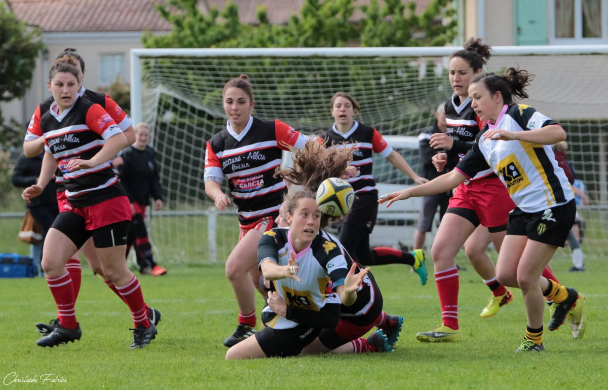 Match séniors Albi - Alban/Lacaune