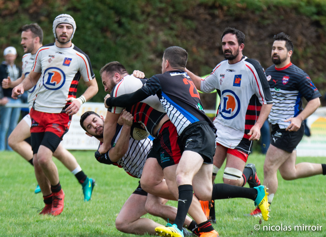 Championnats France et Occitanie : A fond derrière les clubs tarnais !