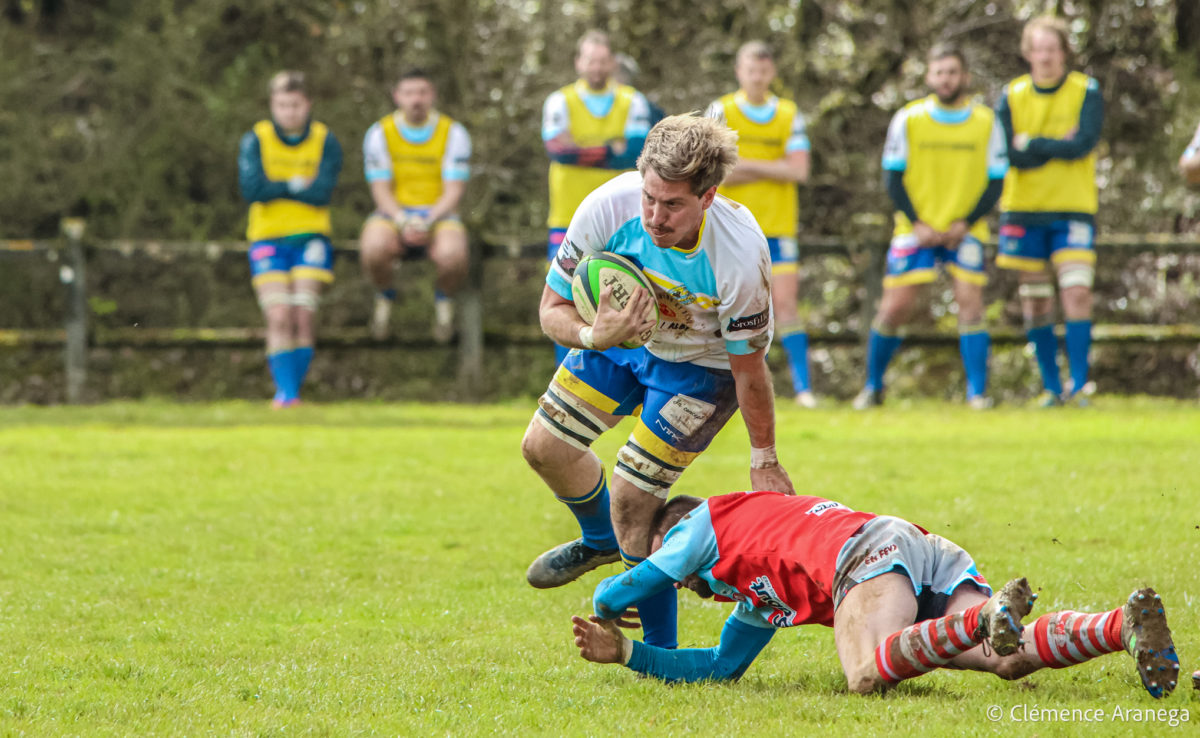 Les clubs tarnais en Championnat de France