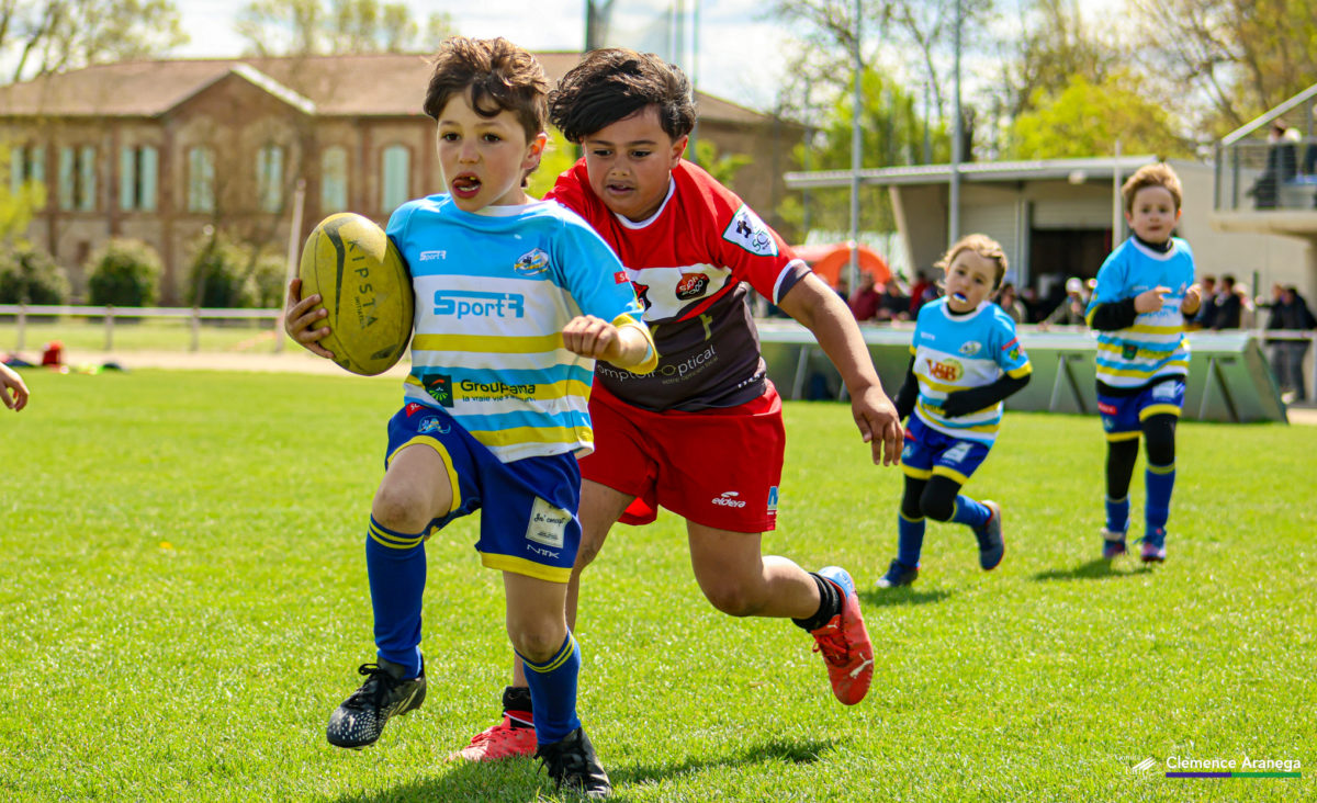 Labellisations école de rugby : les étoiles tarnaises