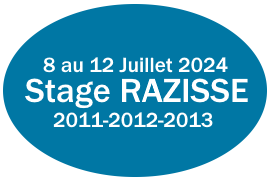 bouton razisse