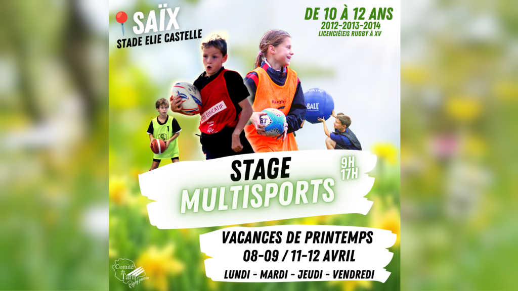 entete stage multis